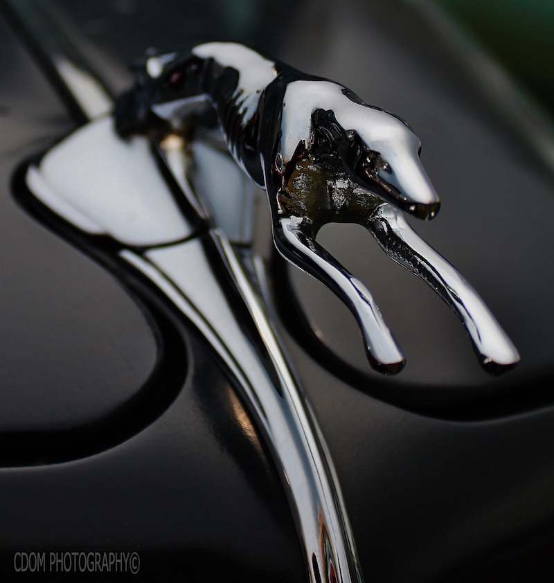 Classic Hood Ornament 1933 Ford — CDOM Photography