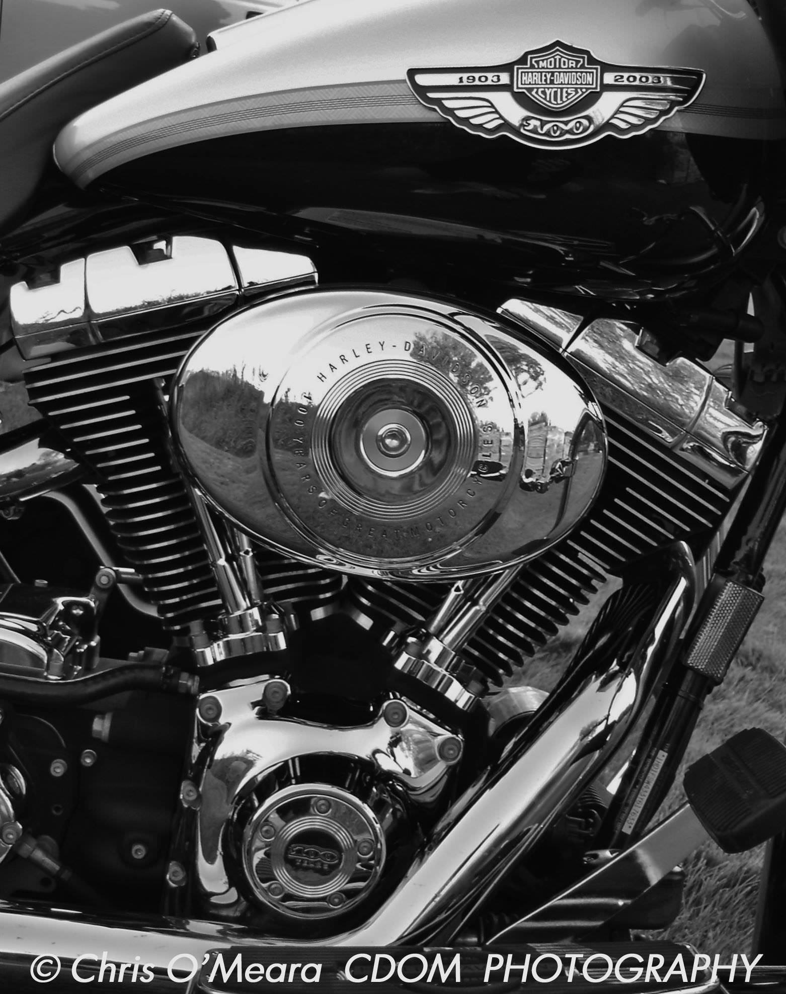 Harley Davidson 1 — CDOM Photography
